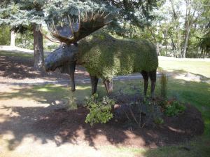 I had never heard of a Chia Moose but now I know they exist.