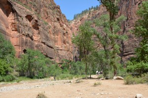 The trail to the narrows. 