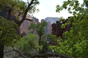 The view from the last shuttle stop in Zion.
