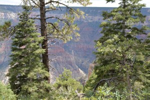 Walking the path at the North Rim. 