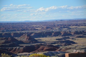 Painted Desert could have used some more color.