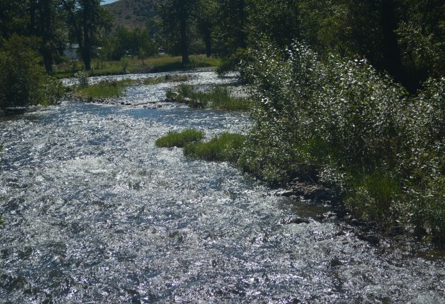 Creek_1
