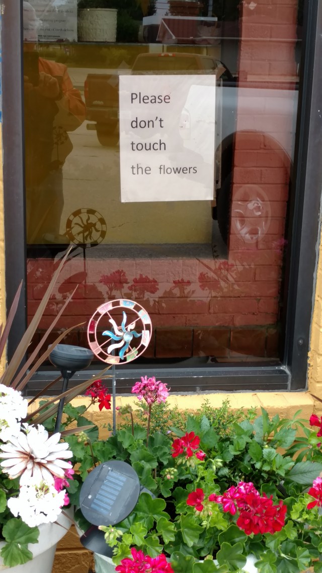 IMG_20160702_190630594