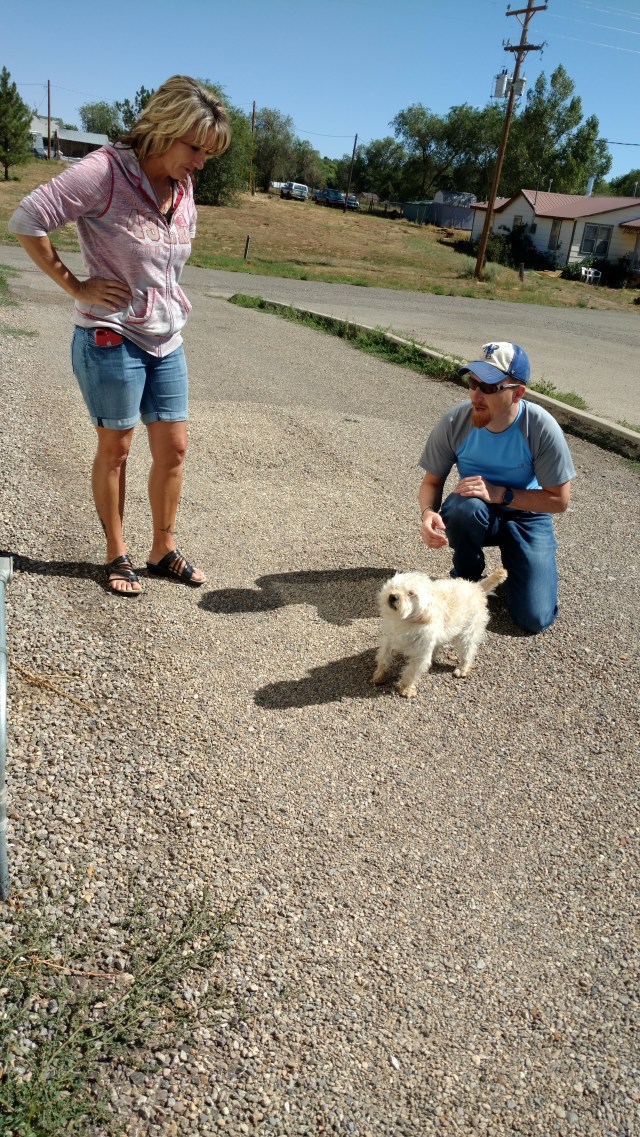 IMG_20170723_102414078